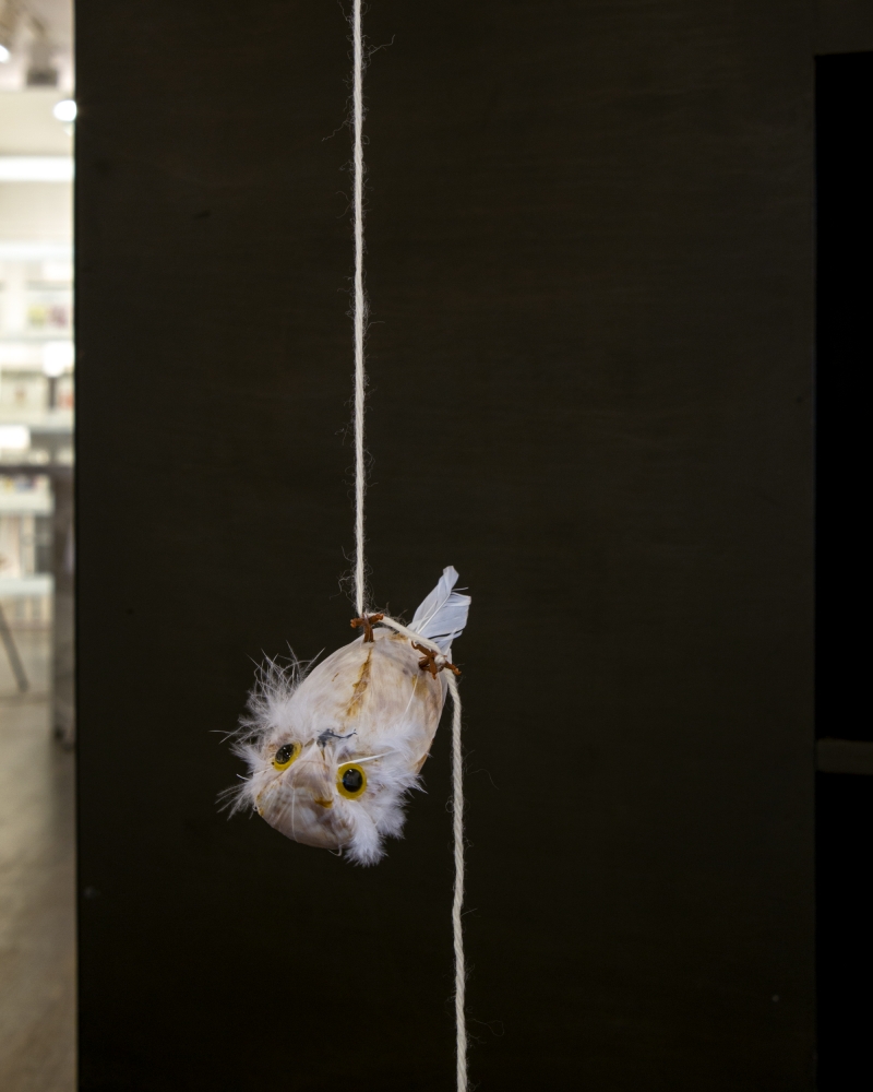 Alix&nbsp;Pearlstein Hanging Snowy Owl (after Hanging Bird)