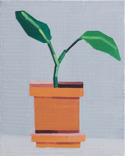 Guy Yanai Plant with Two Leaves